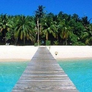 Meet your Posher, Lucy